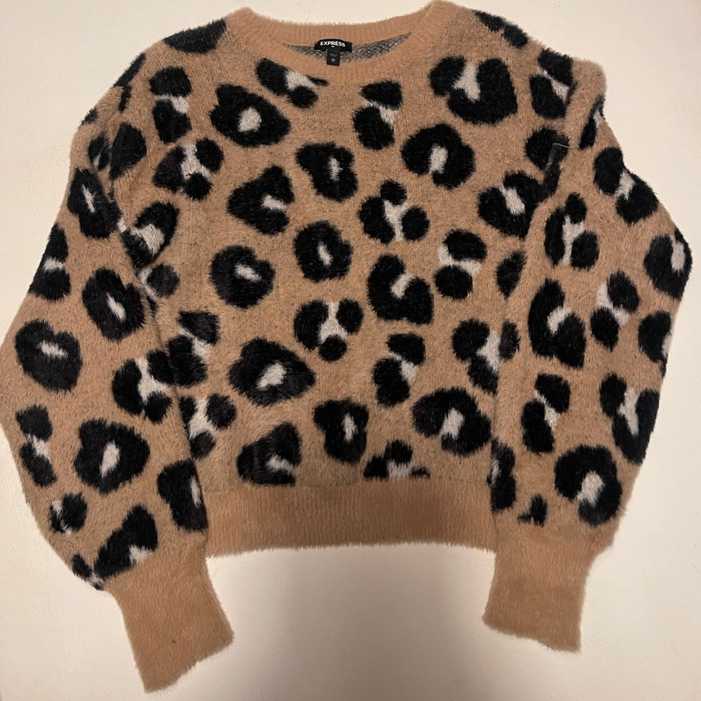 Express leopard print sweater